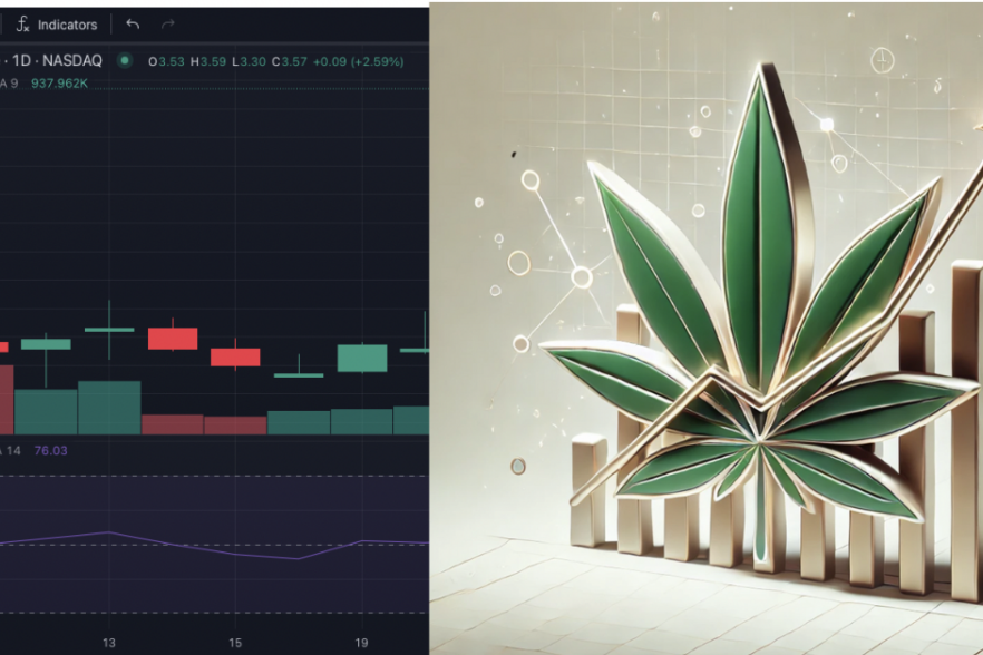 cannabis-investing-high-tide-insights