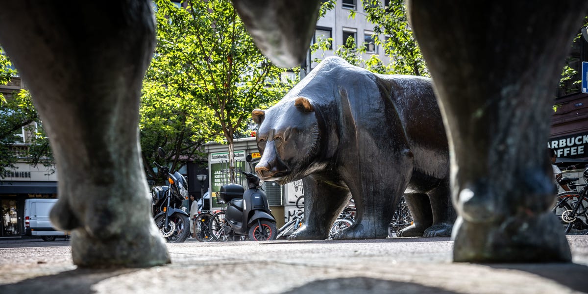 wall-street-bears-worried-stock-market-2025