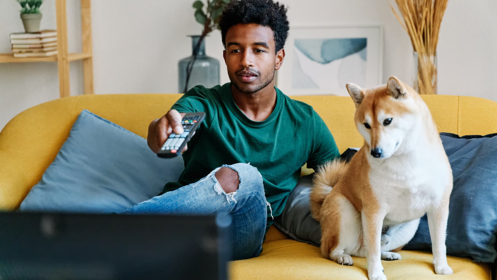 streaming-subscriptions-savings