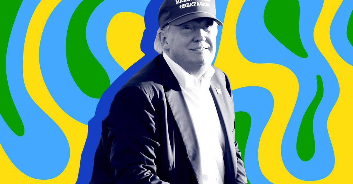 trump-meme-coin-crypto