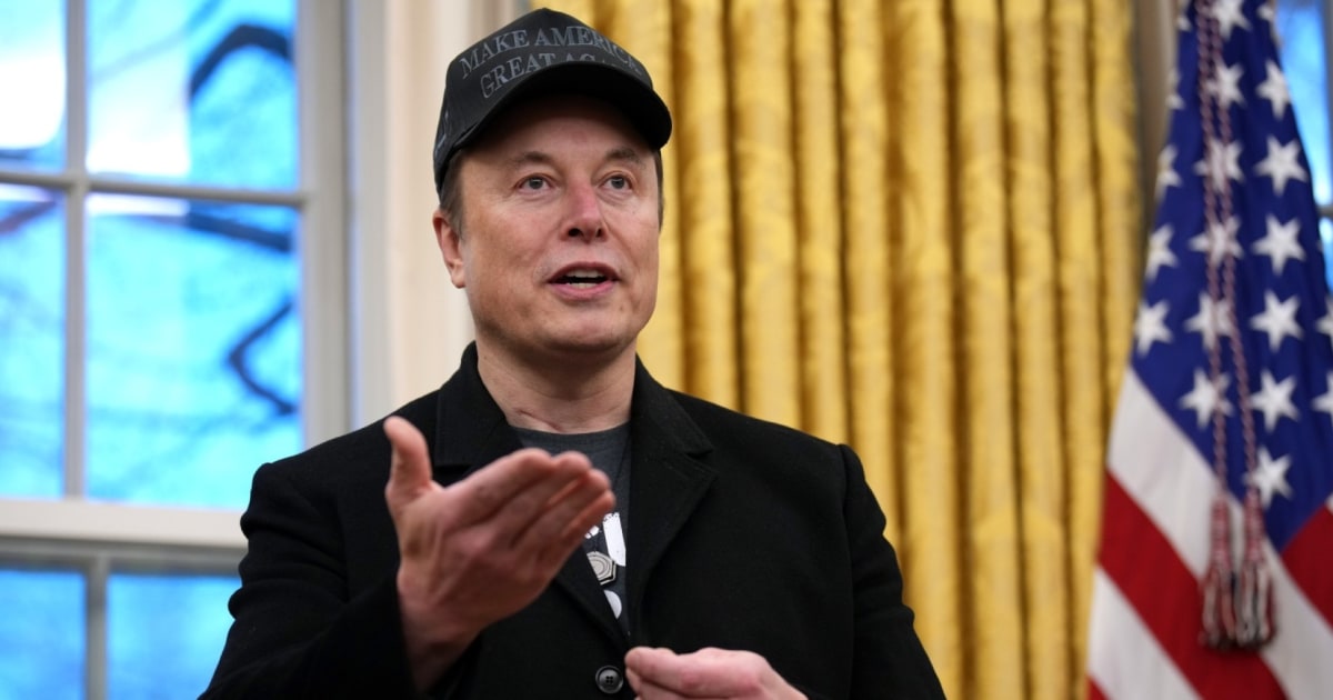 elon-musk-doge-court-case