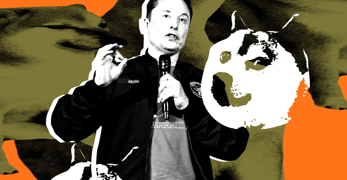 elon-musk-doge-relationship
