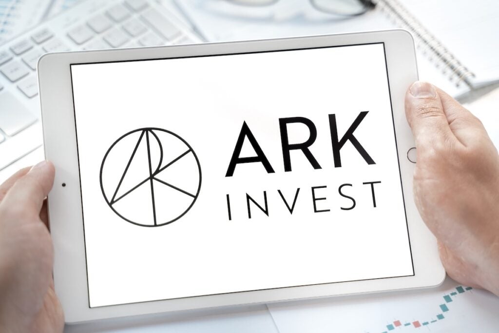 cathie-wood-airbnb-investment-strategy
